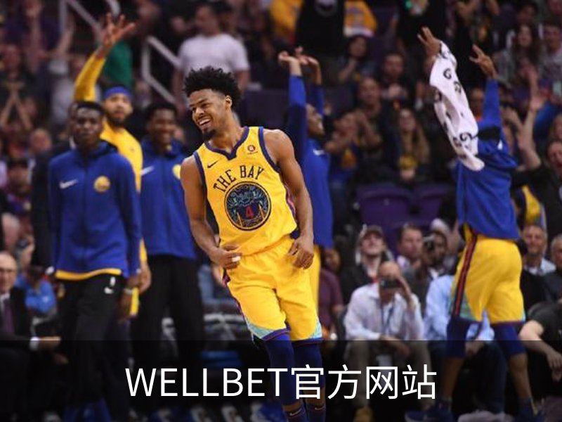 WELLBET官方网站概况