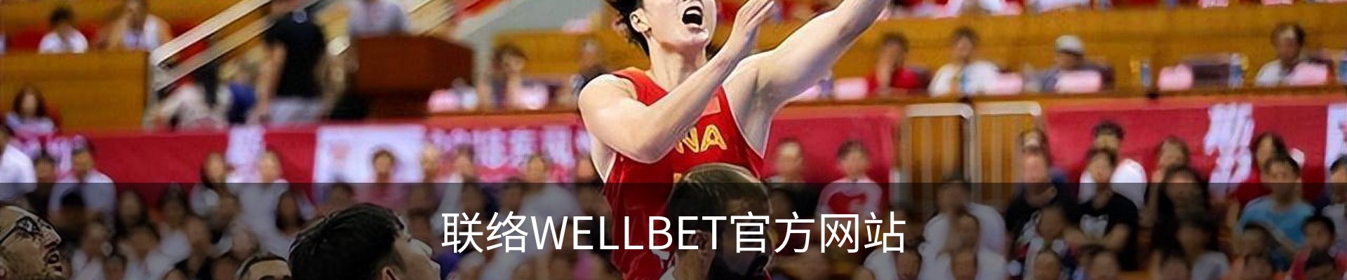 联络WELLBET官方网站