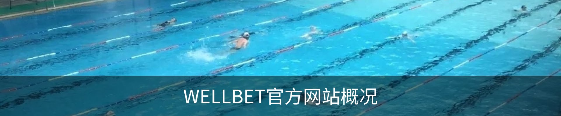 WELLBET官方网站概况