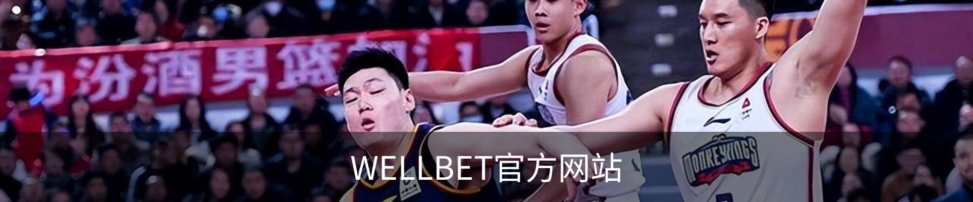 WELLBET官方网站